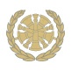 8b - Staff Fire Chief